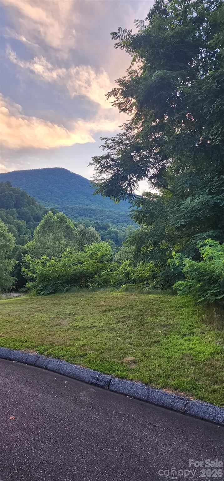 1-3 King Horn Ridge Waynesville NC 28785