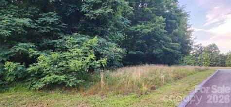 1-3 King Horn Ridge Waynesville NC 28785