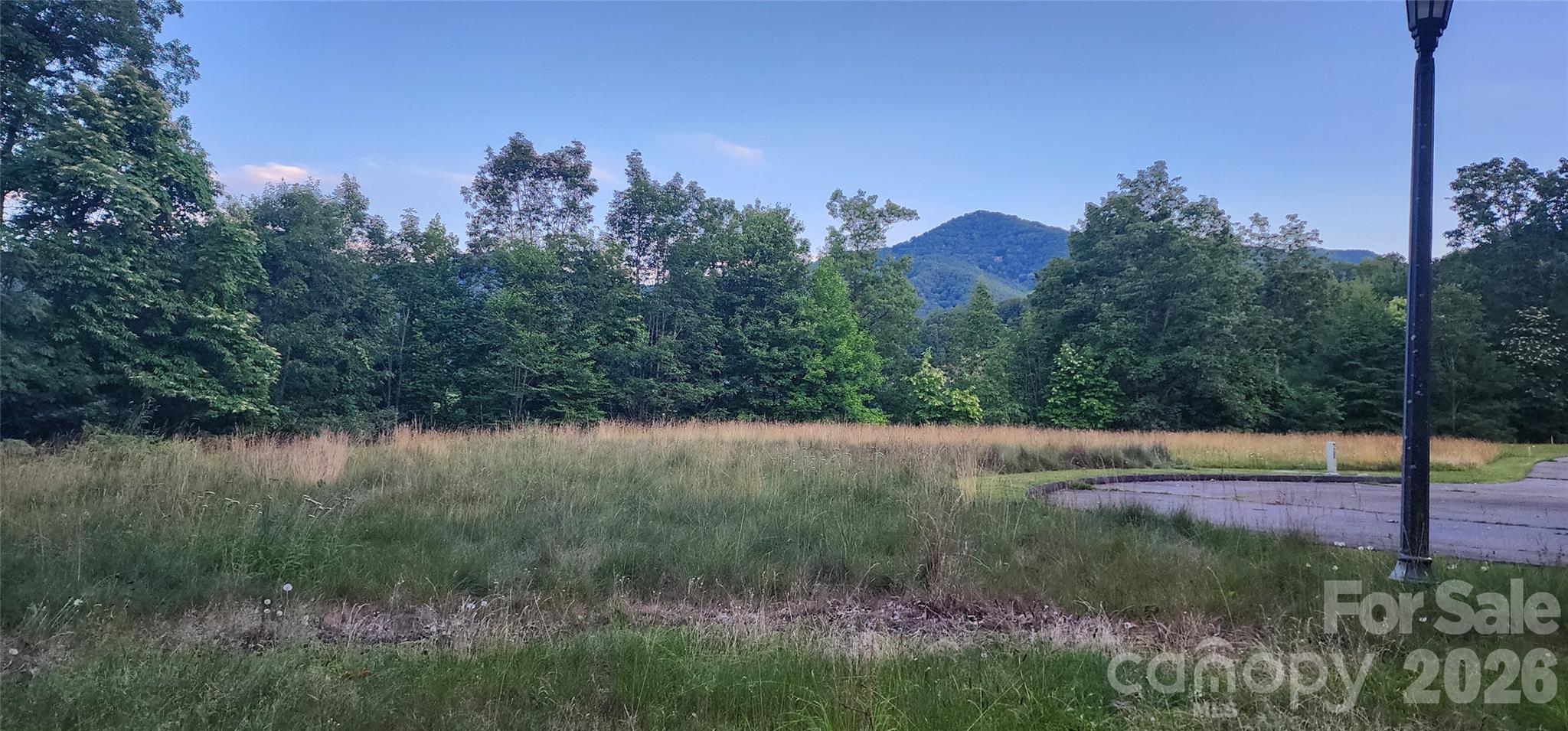 1-3 King Horn Ridge Waynesville NC 28785