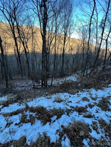 000 Puncheon Lane Mars Hill NC 28754