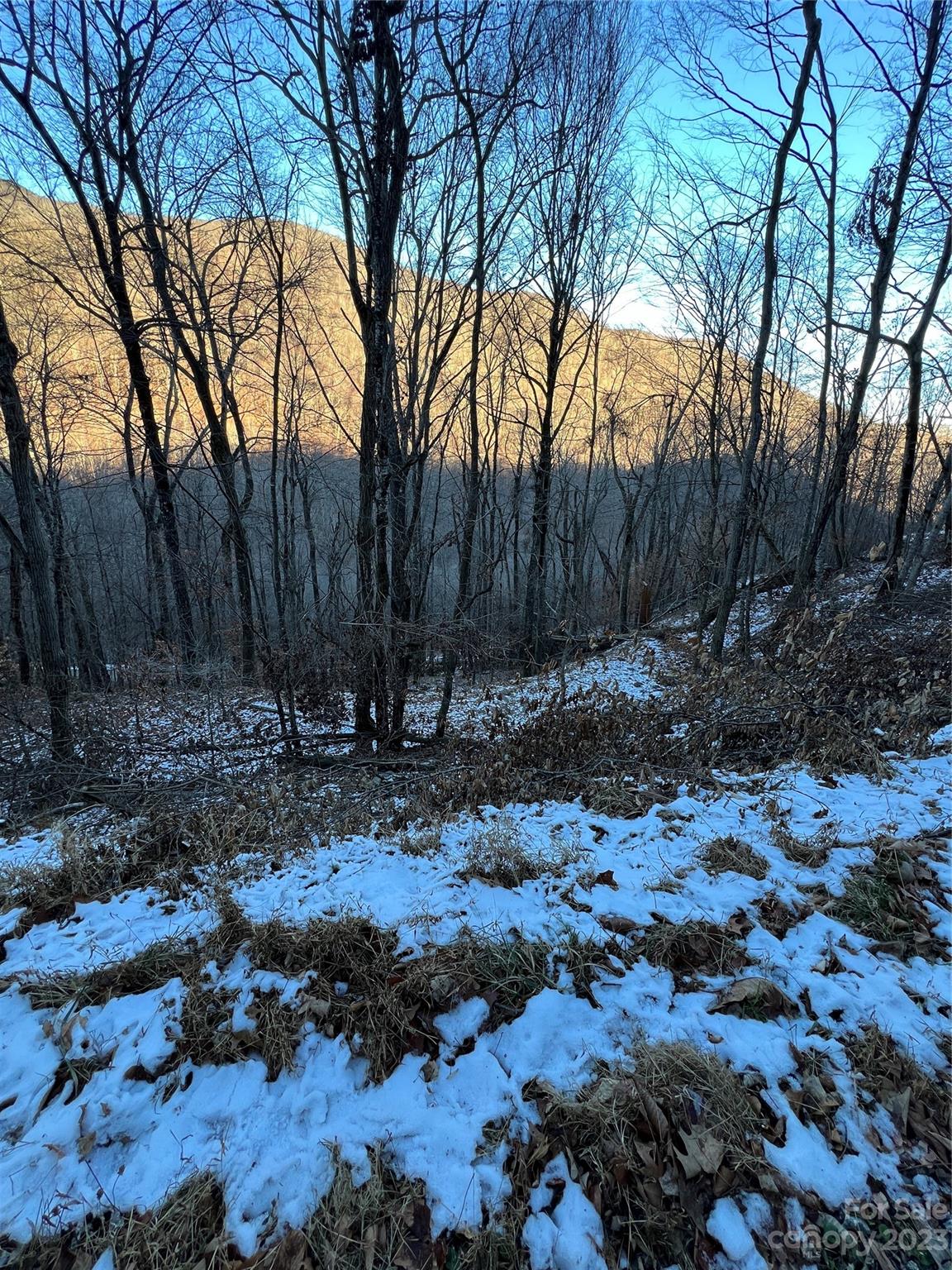 000 Puncheon Lane Mars Hill NC 28754