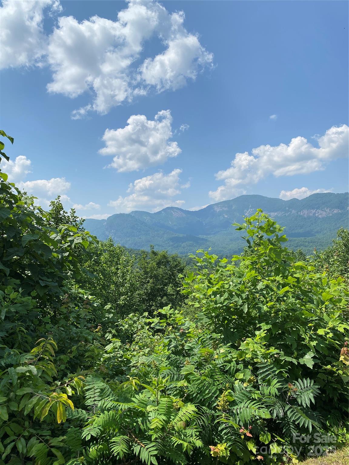 Lot 13 Highlands Drive Lake Lure NC 28746