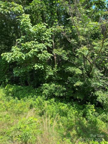 Lot 13 Highlands Drive Lake Lure NC 28746