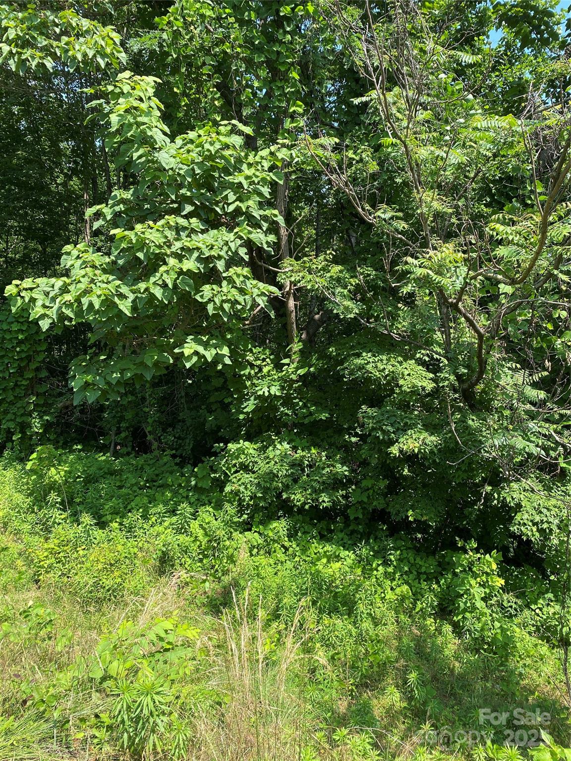 Lot 13 Highlands Drive Lake Lure NC 28746