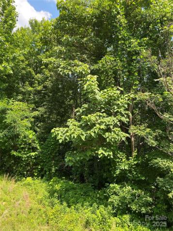 Lot 13 Highlands Drive Lake Lure NC 28746