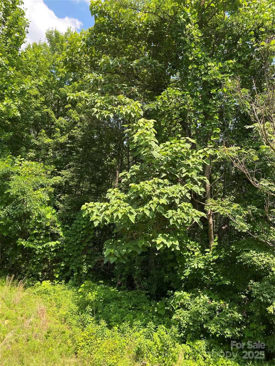 Lot 13 Highlands Drive Lake Lure NC 28746