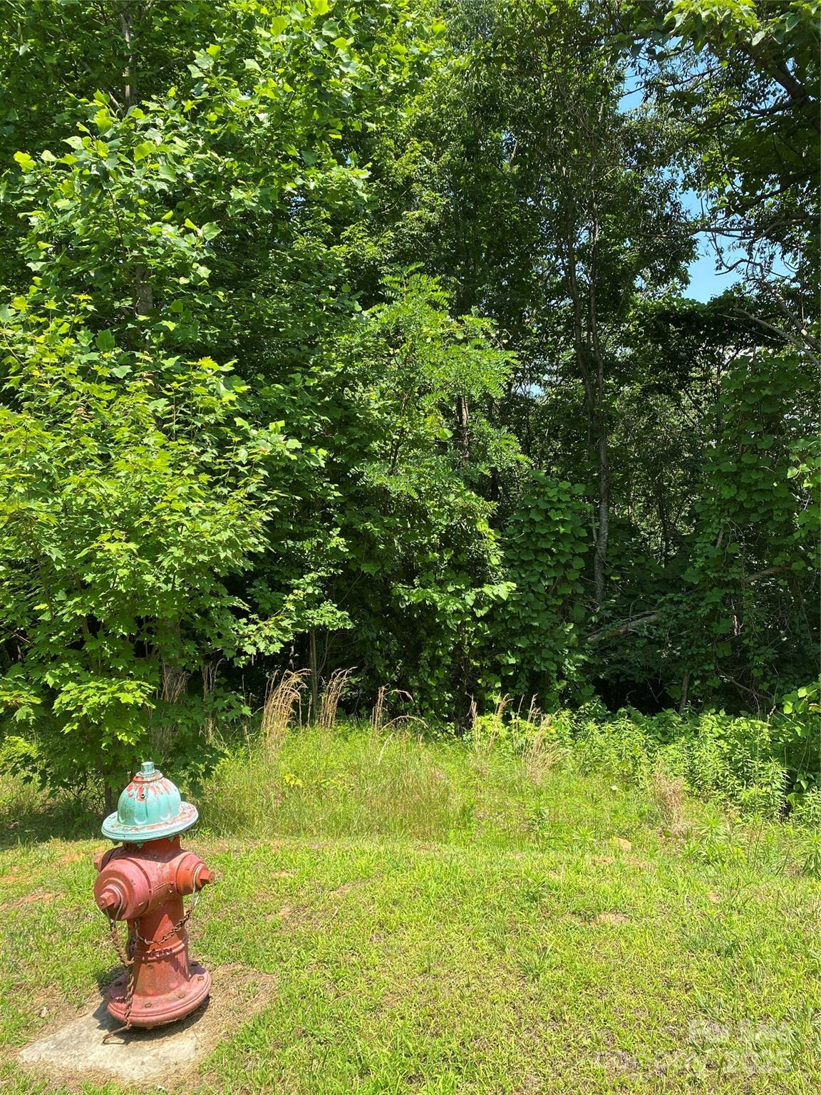 Lot 13 Highlands Drive Lake Lure NC 28746