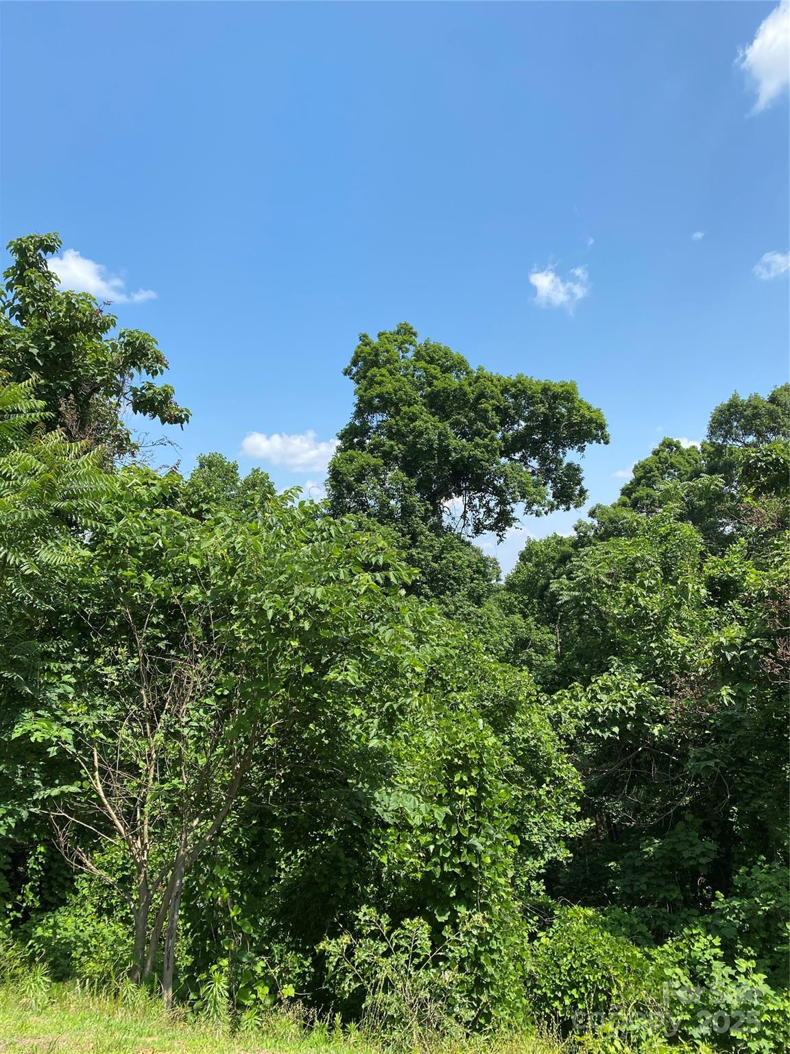 Lot 13 Highlands Drive Lake Lure NC 28746