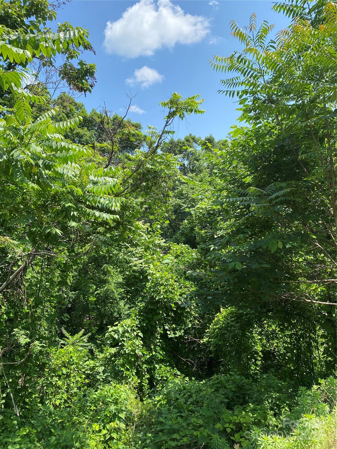 Lot 13 Highlands Drive Lake Lure NC 28746