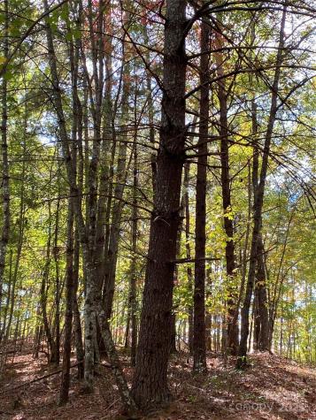 Lot 13 Highlands Drive Lake Lure NC 28746