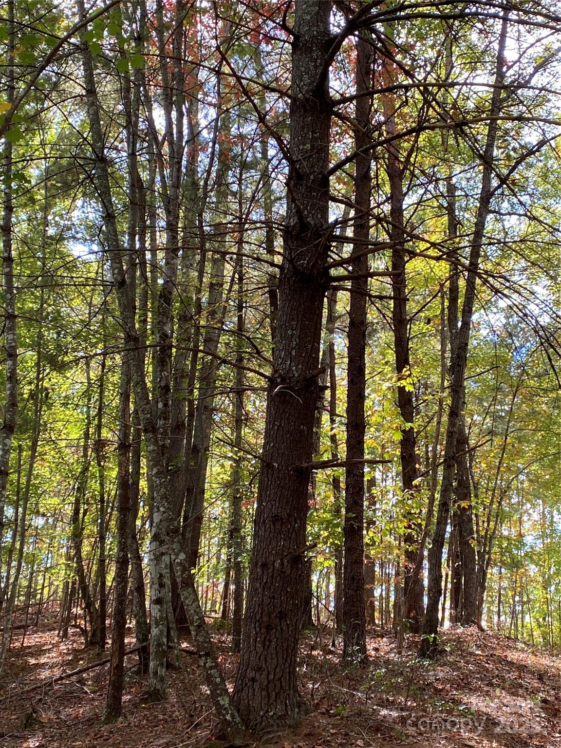 Lot 13 Highlands Drive Lake Lure NC 28746