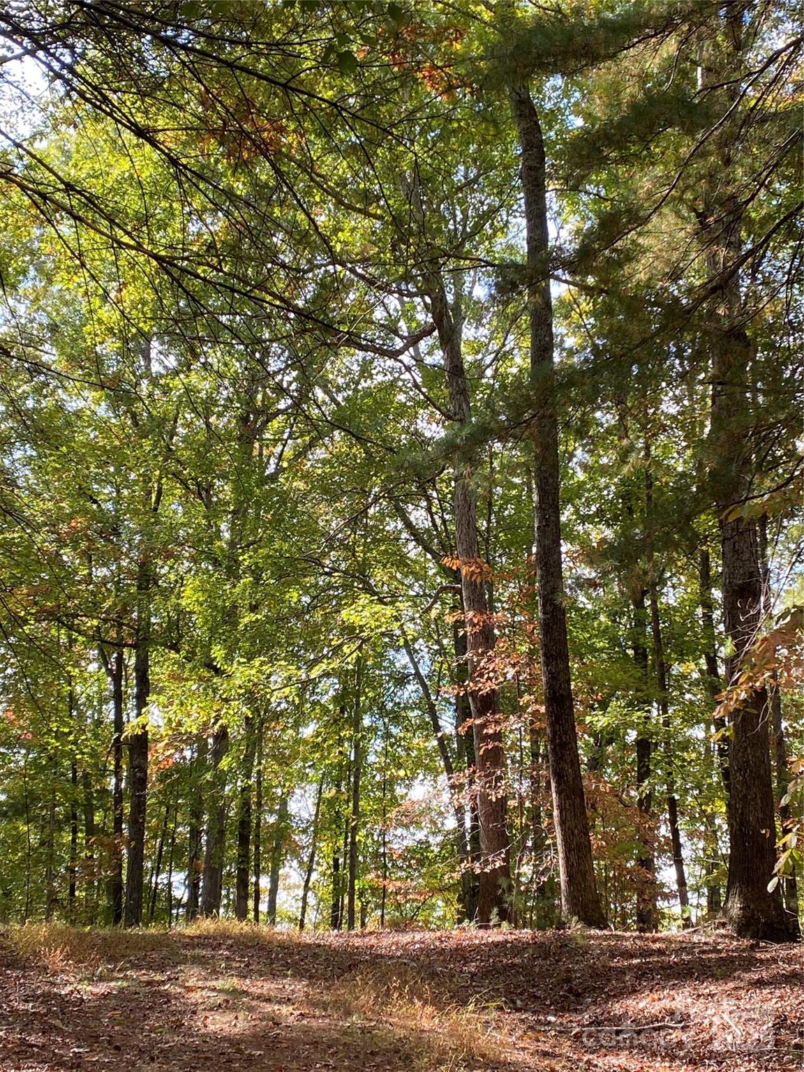 Lot 13 Highlands Drive Lake Lure NC 28746
