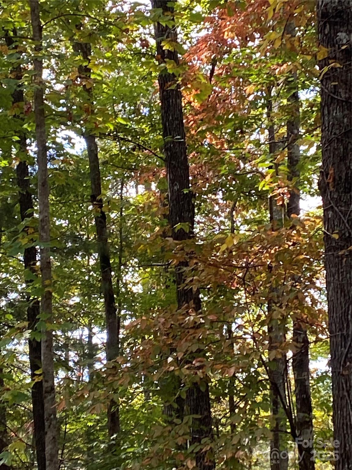 Lot 13 Highlands Drive Lake Lure NC 28746