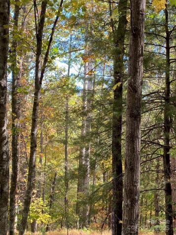 Lot 13 Highlands Drive Lake Lure NC 28746