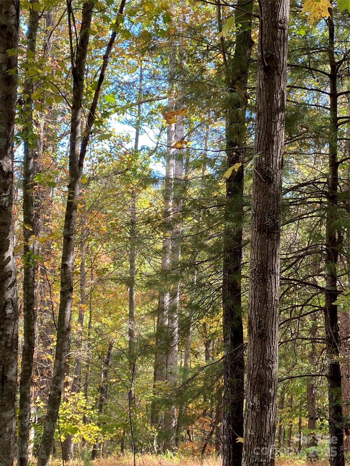 Lot 13 Highlands Drive Lake Lure NC 28746