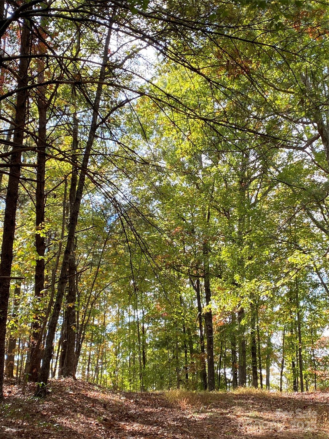 Lot 13 Highlands Drive Lake Lure NC 28746