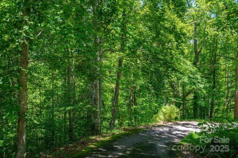 Lot 167 Plantation Drive Rutherfordton NC 28139