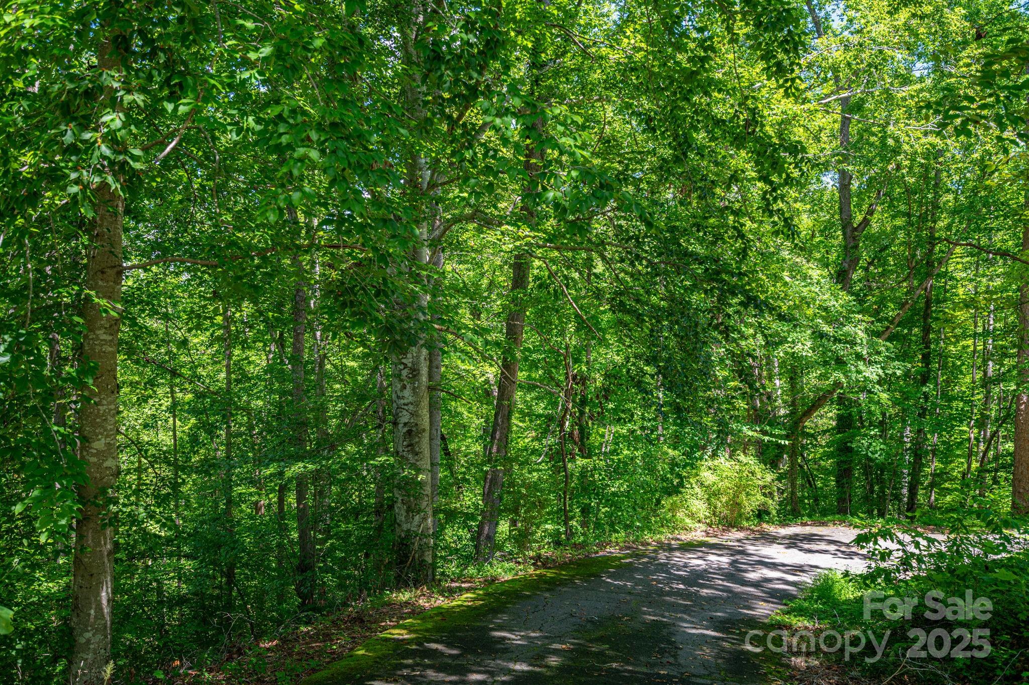 Lot 167 Plantation Drive Rutherfordton NC 28139