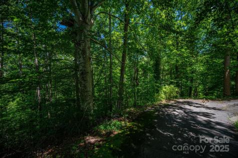Lot 167 Plantation Drive Rutherfordton NC 28139