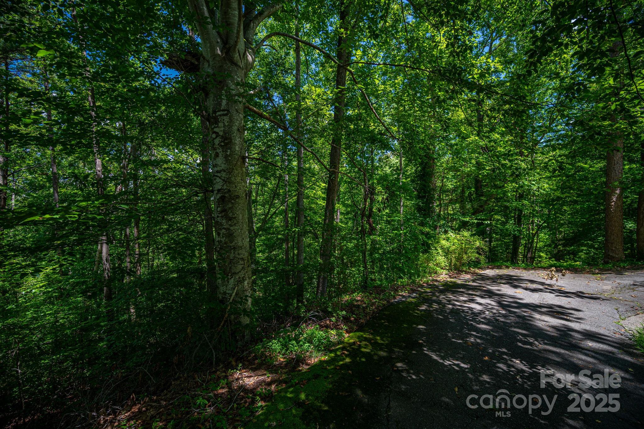 Lot 167 Plantation Drive Rutherfordton NC 28139