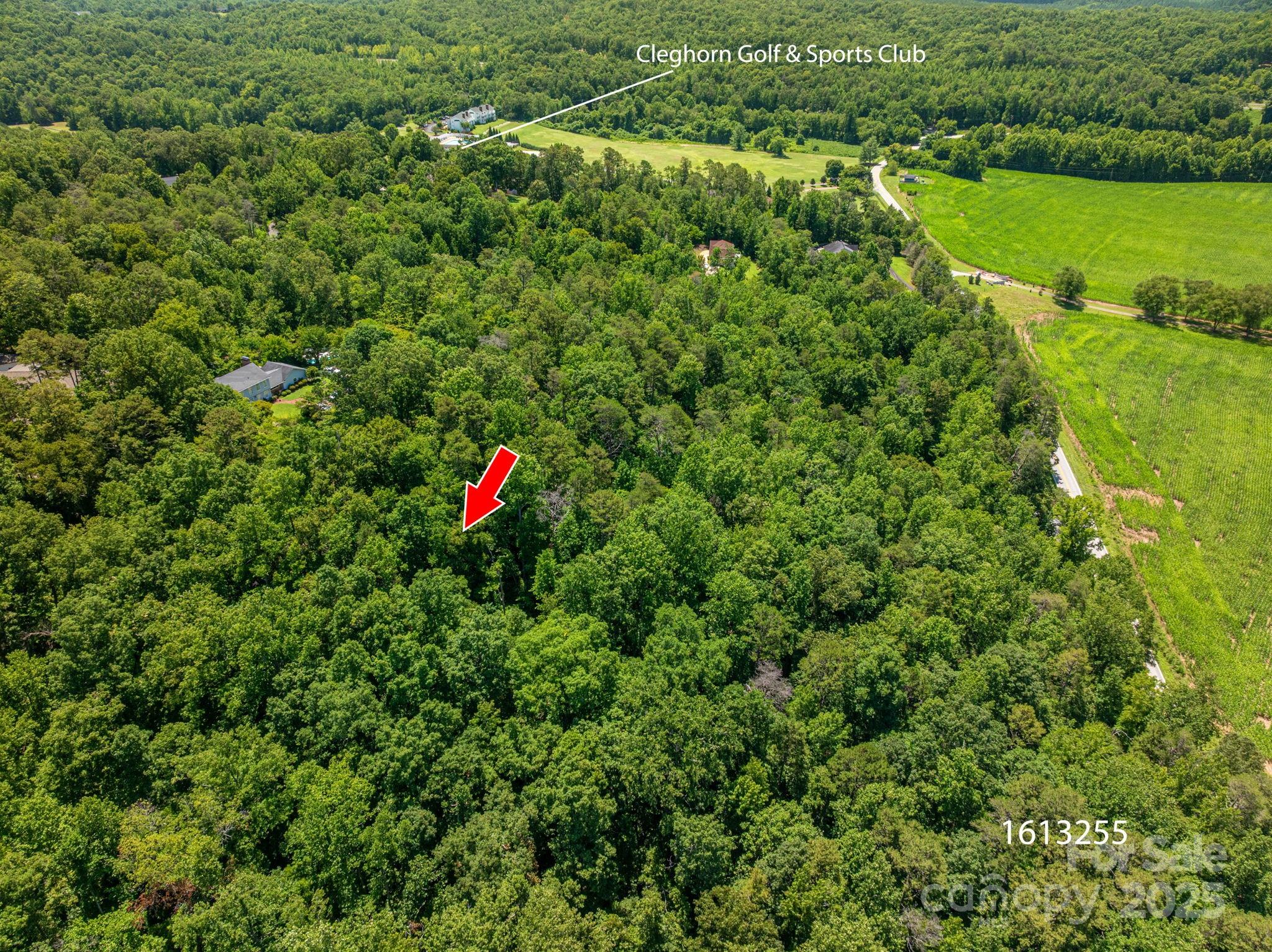 Lot 167 Plantation Drive Rutherfordton NC 28139