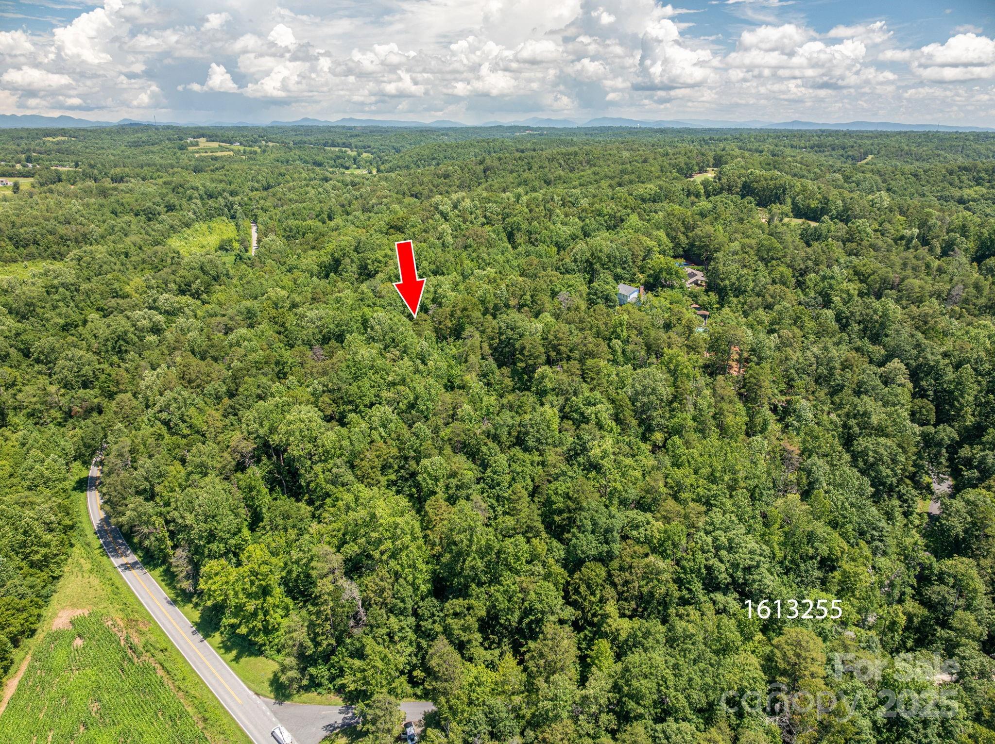 Lot 167 Plantation Drive Rutherfordton NC 28139