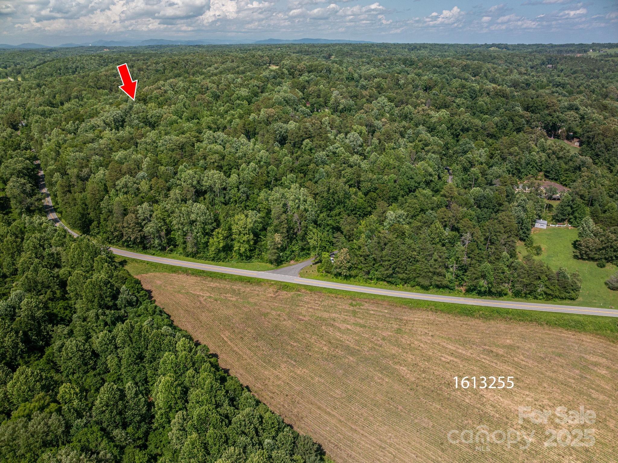 Lot 167 Plantation Drive Rutherfordton NC 28139