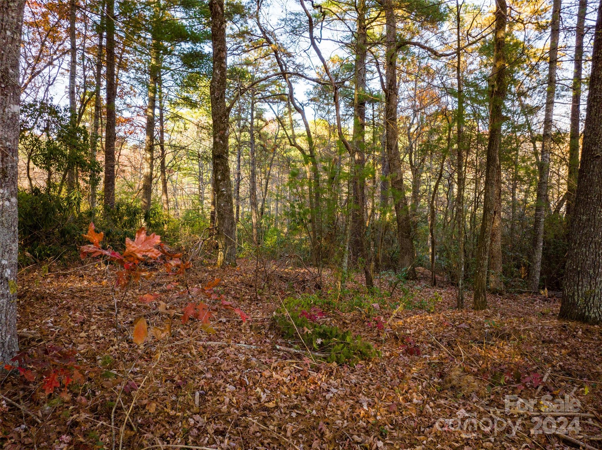 Lot #7 Alexander Crest Drive Fairview NC 28730
