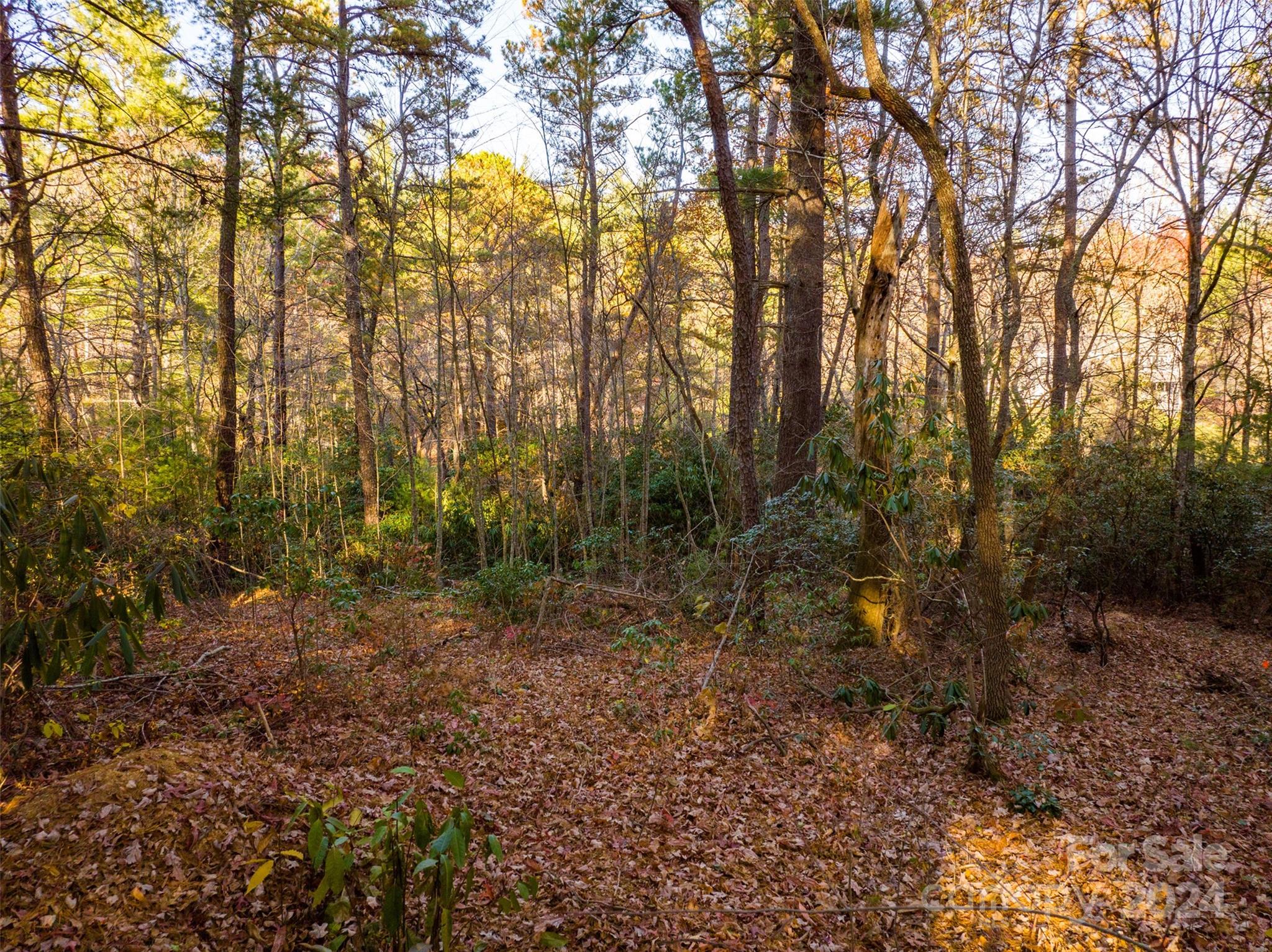 Lot #7 Alexander Crest Drive Fairview NC 28730