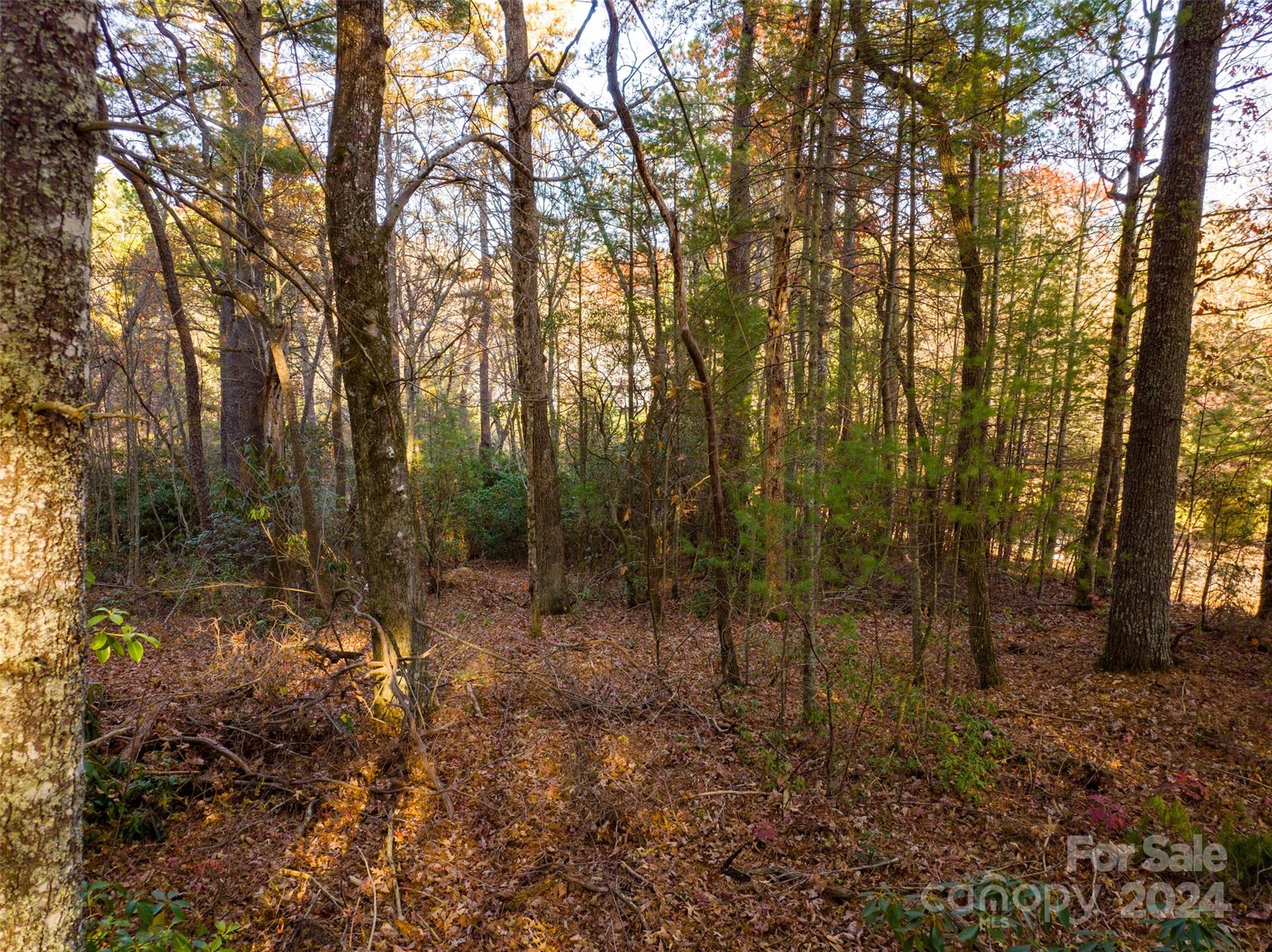 Lot #7 Alexander Crest Drive Fairview NC 28730