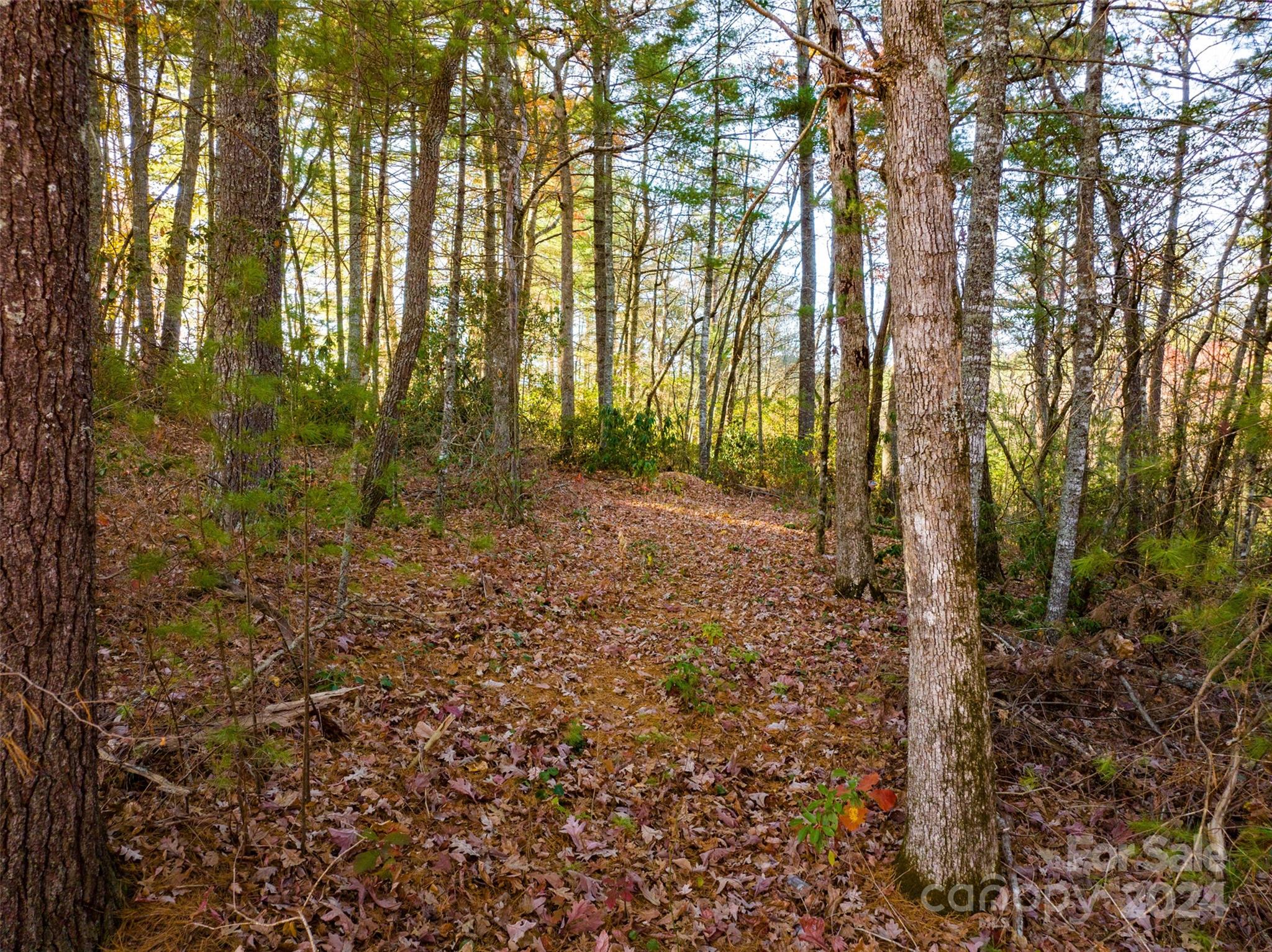 Lot #7 Alexander Crest Drive Fairview NC 28730