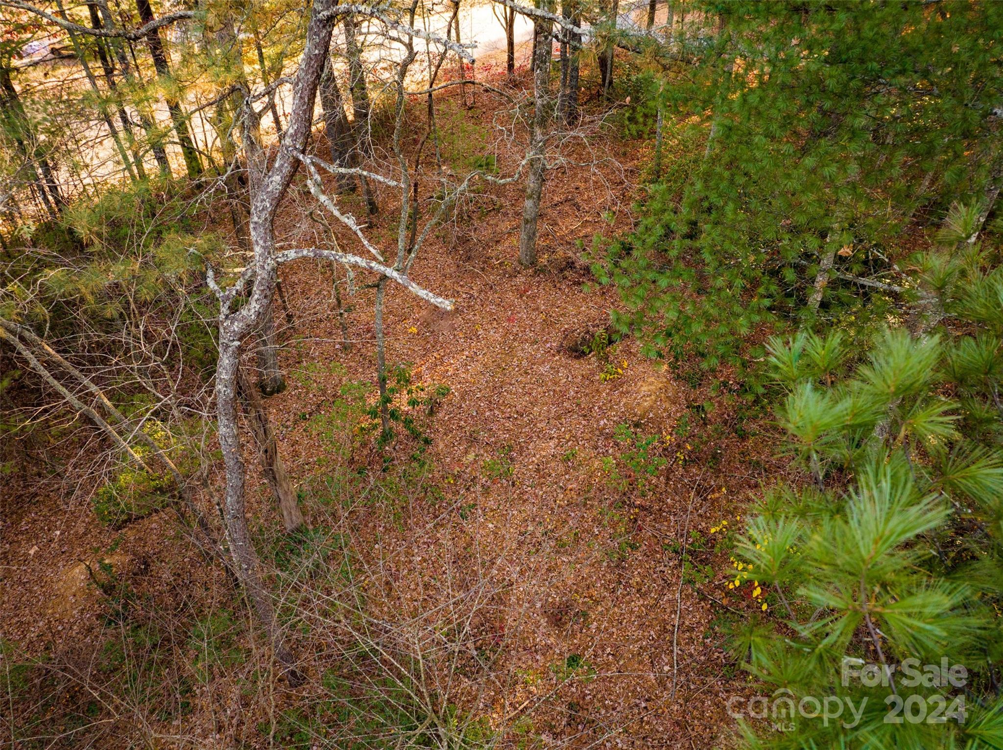 Lot #7 Alexander Crest Drive Fairview NC 28730