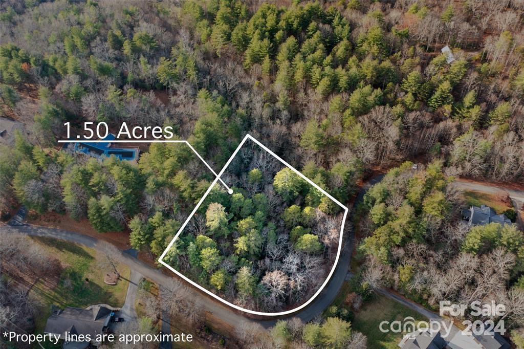 Lot #7 Alexander Crest Drive Fairview NC 28730