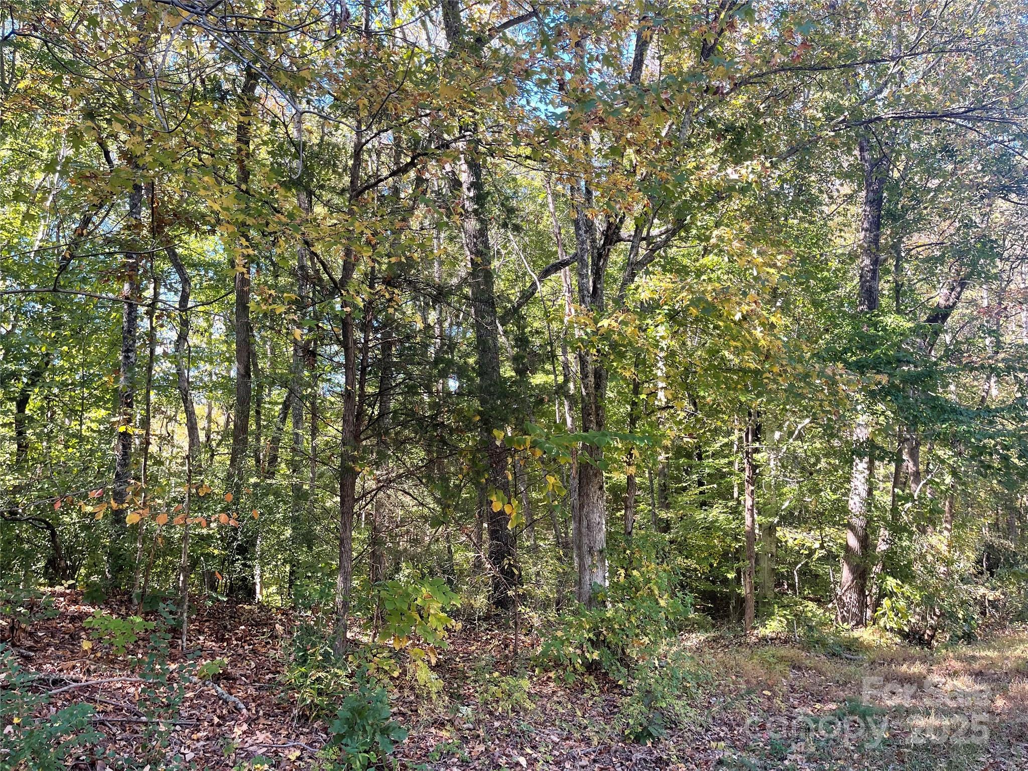 237 Lamplighter Lane Mount Holly NC 28120