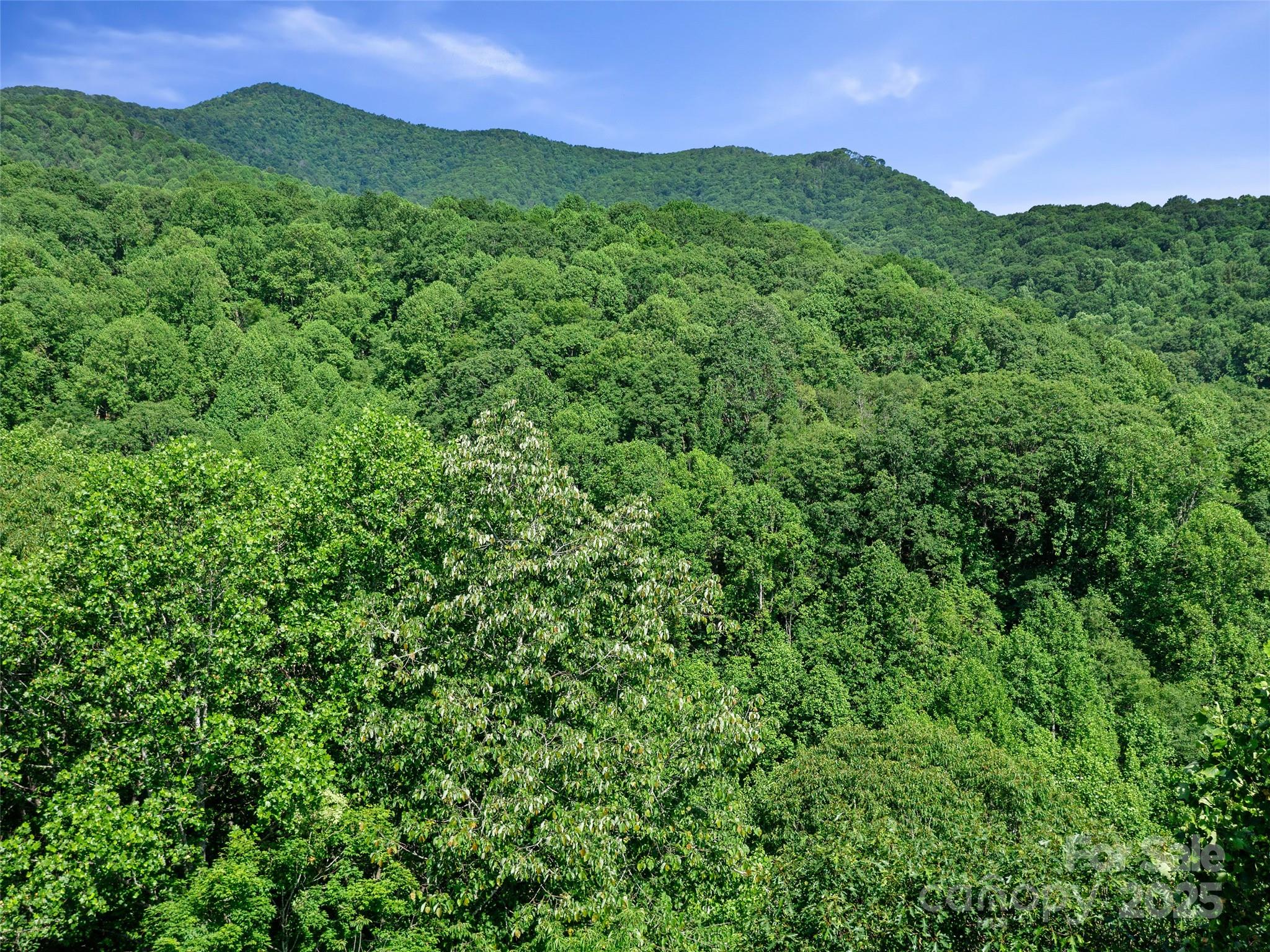 #2 Tbd Lotties Creek Road Burnsville NC 28714