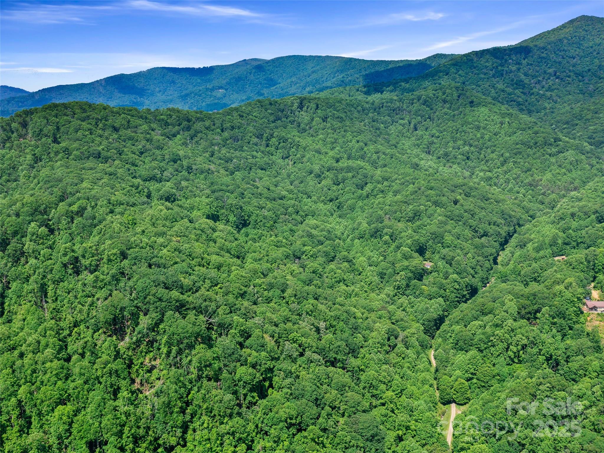 #2 Tbd Lotties Creek Road Burnsville NC 28714
