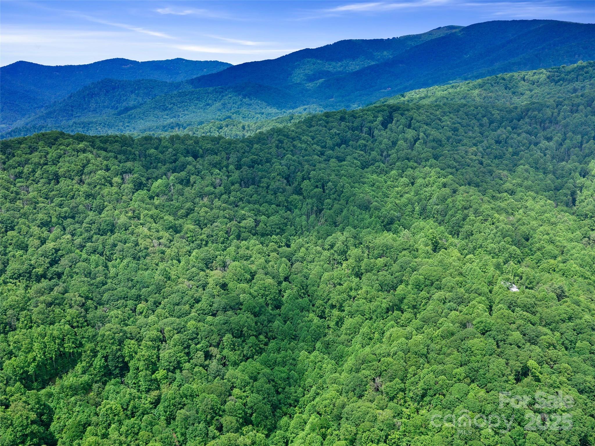 #2 Tbd Lotties Creek Road Burnsville NC 28714