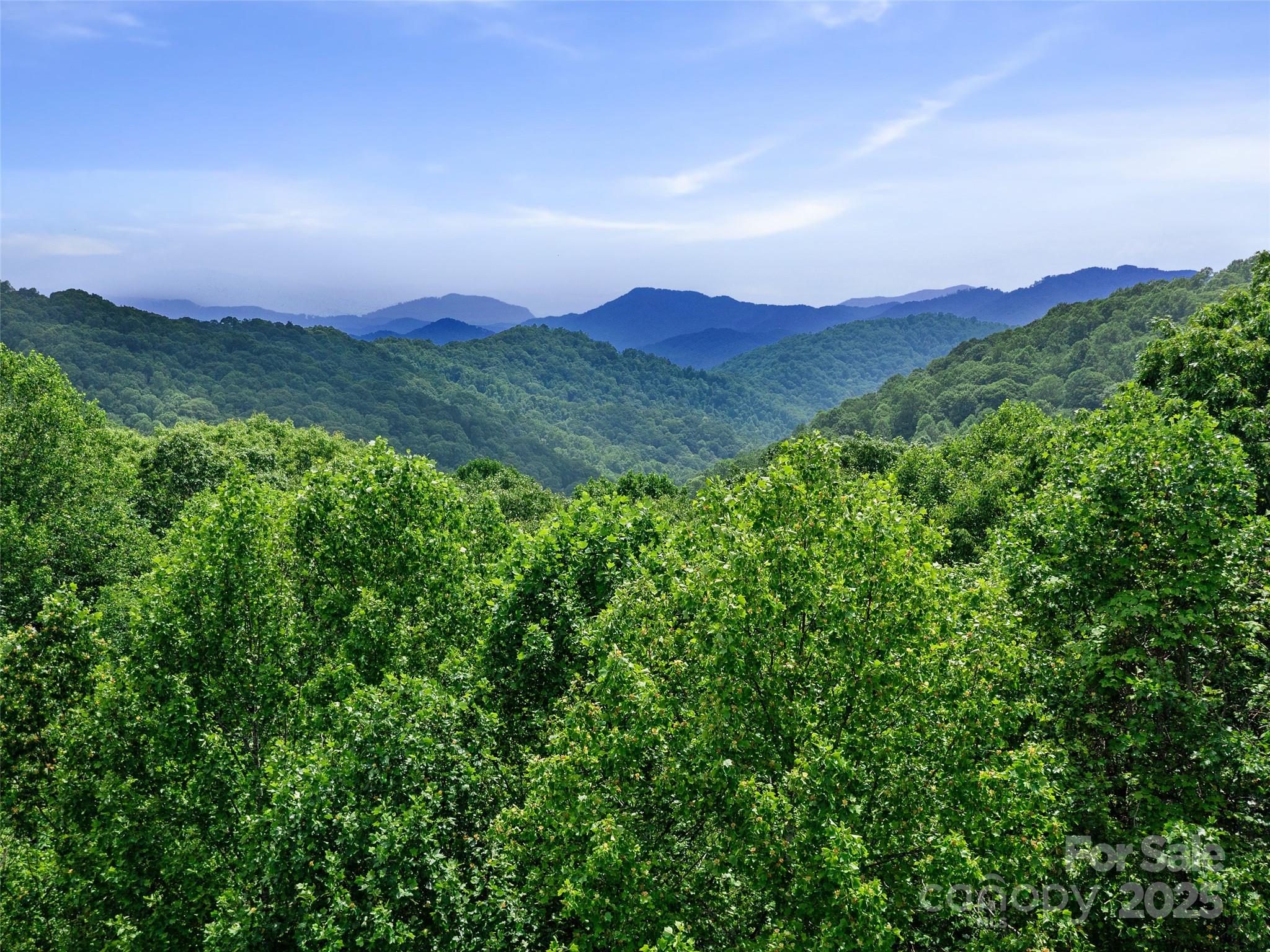 #2 Tbd Lotties Creek Road Burnsville NC 28714