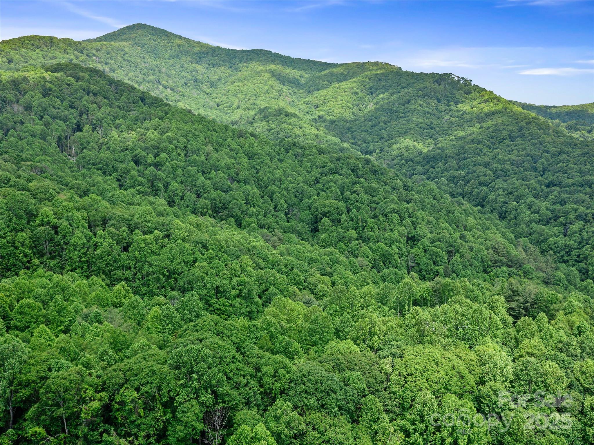 #2 Tbd Lotties Creek Road Burnsville NC 28714