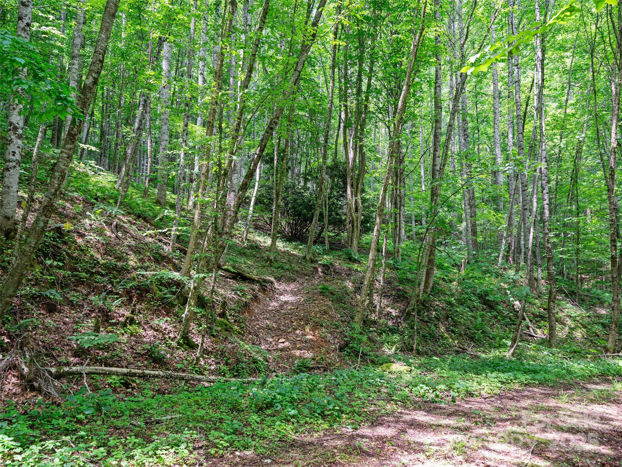 #2 Tbd Lotties Creek Road Burnsville NC 28714