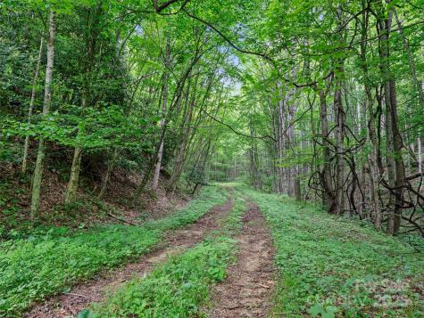 #2 Tbd Lotties Creek Road Burnsville NC 28714