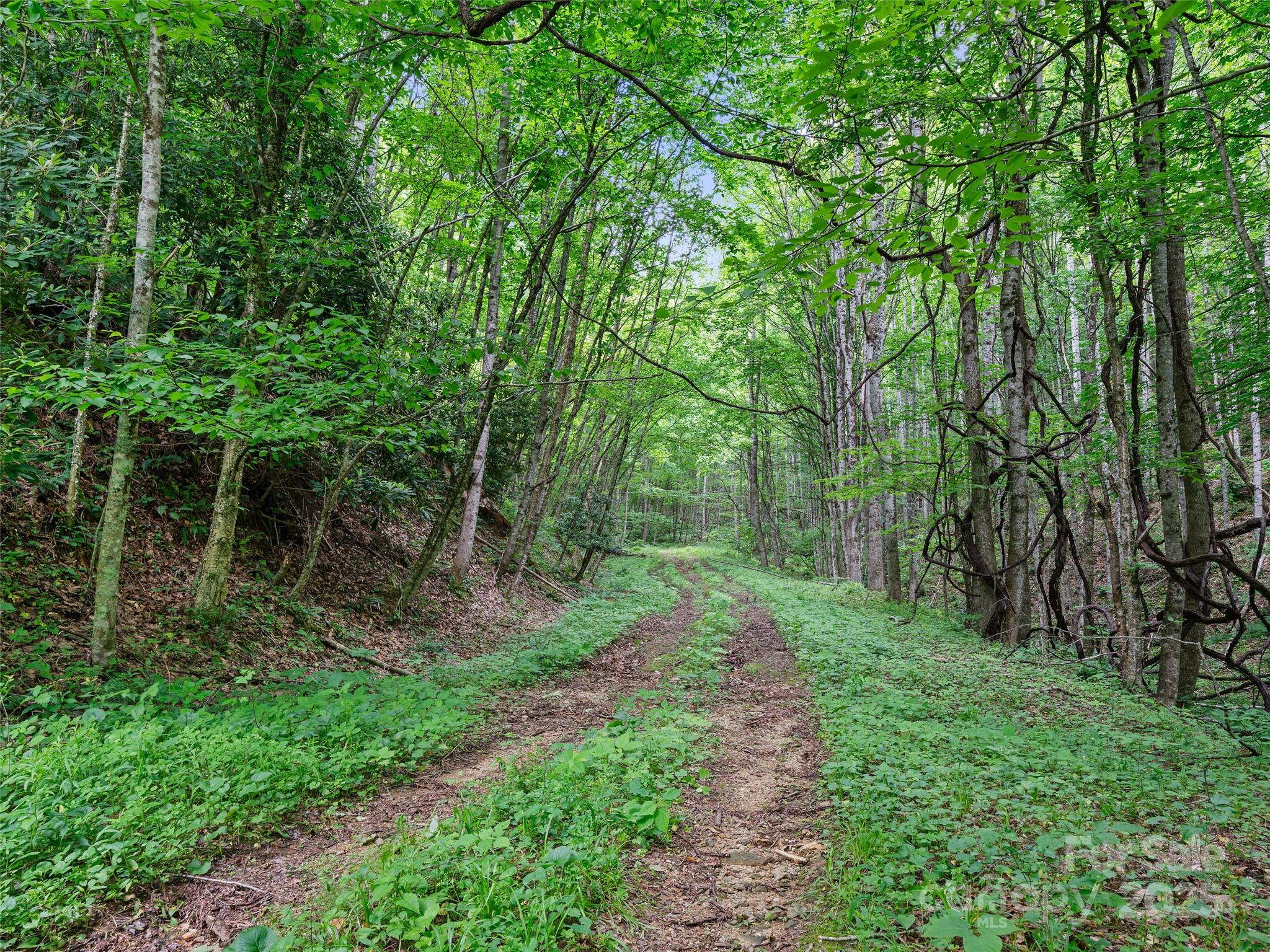 #2 Tbd Lotties Creek Road Burnsville NC 28714