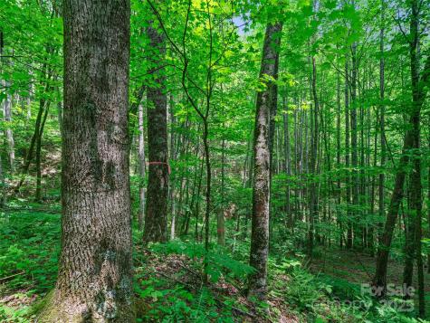 #2 Tbd Lotties Creek Road Burnsville NC 28714