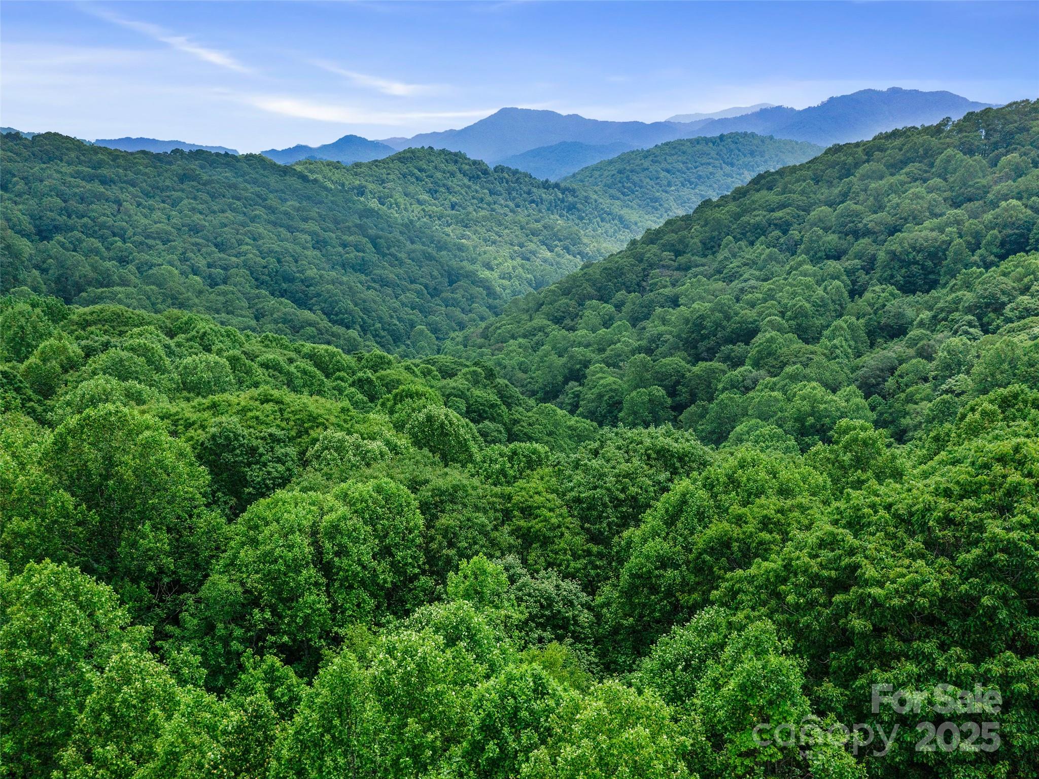#2 Tbd Lotties Creek Road Burnsville NC 28714