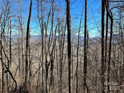 0 Maltese Way Whittier NC 28789