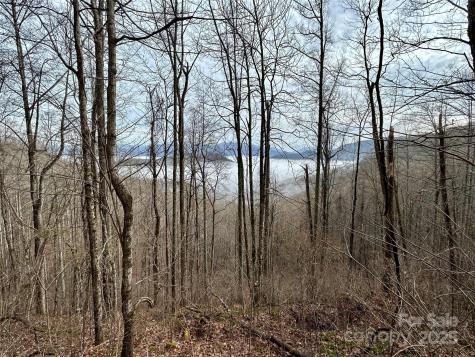 0 Maltese Way Whittier NC 28789