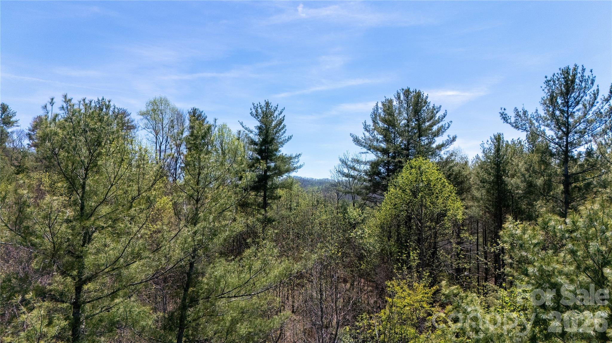 000 Mitchell Avenue Bakersville NC 28705