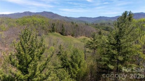 000 Mitchell Avenue Bakersville NC 28705