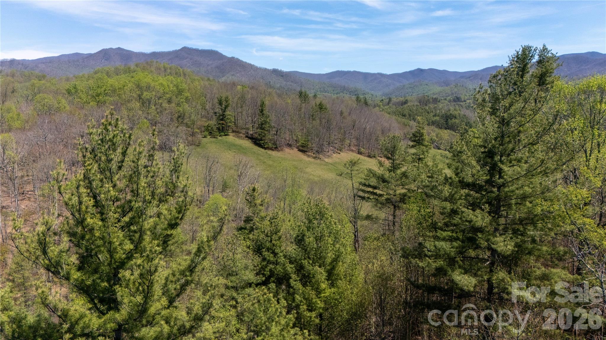 000 Mitchell Avenue Bakersville NC 28705