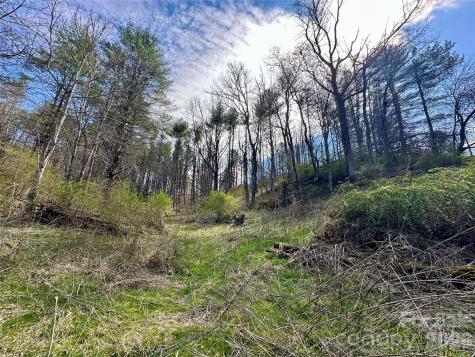 000 Mitchell Avenue Bakersville NC 28705